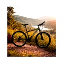 Bicicletas Verde (27½)