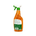 Spray Desengrasante Multisuperficie (500ml)