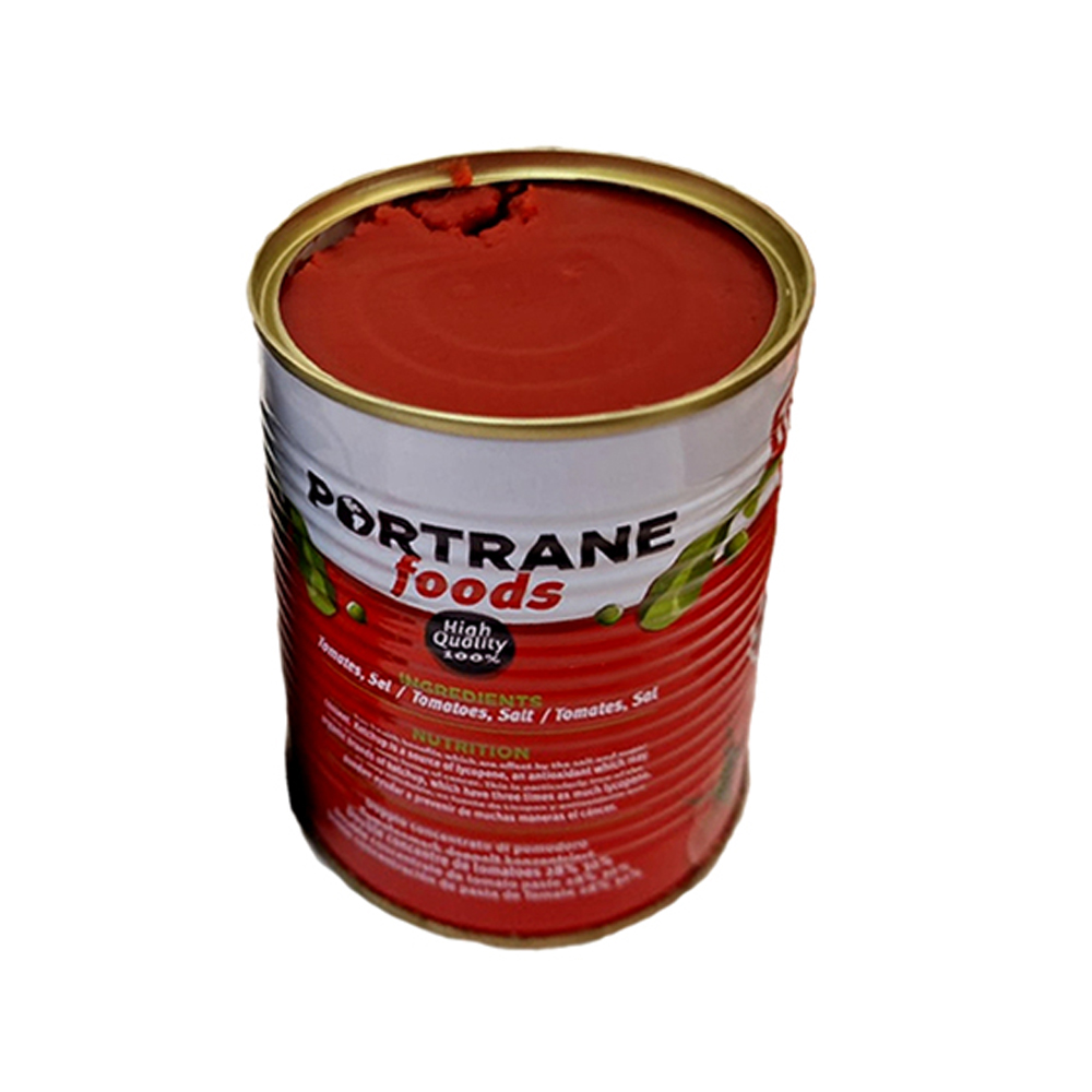 Pasta de tomate Portrane Foods (400g)