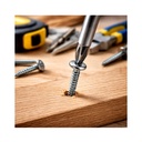 Caja de Tornillo (4,2x19mm) 800uds