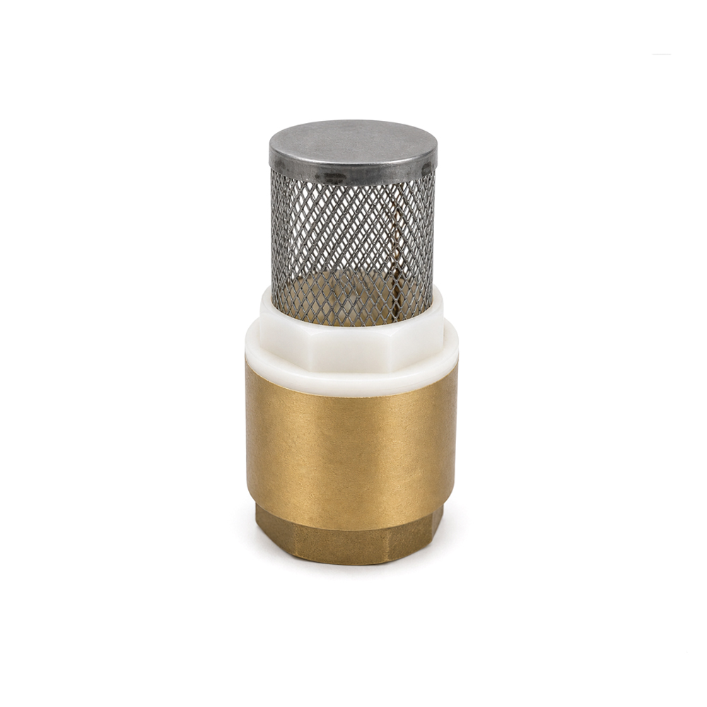 Cheke de Bronce 1"